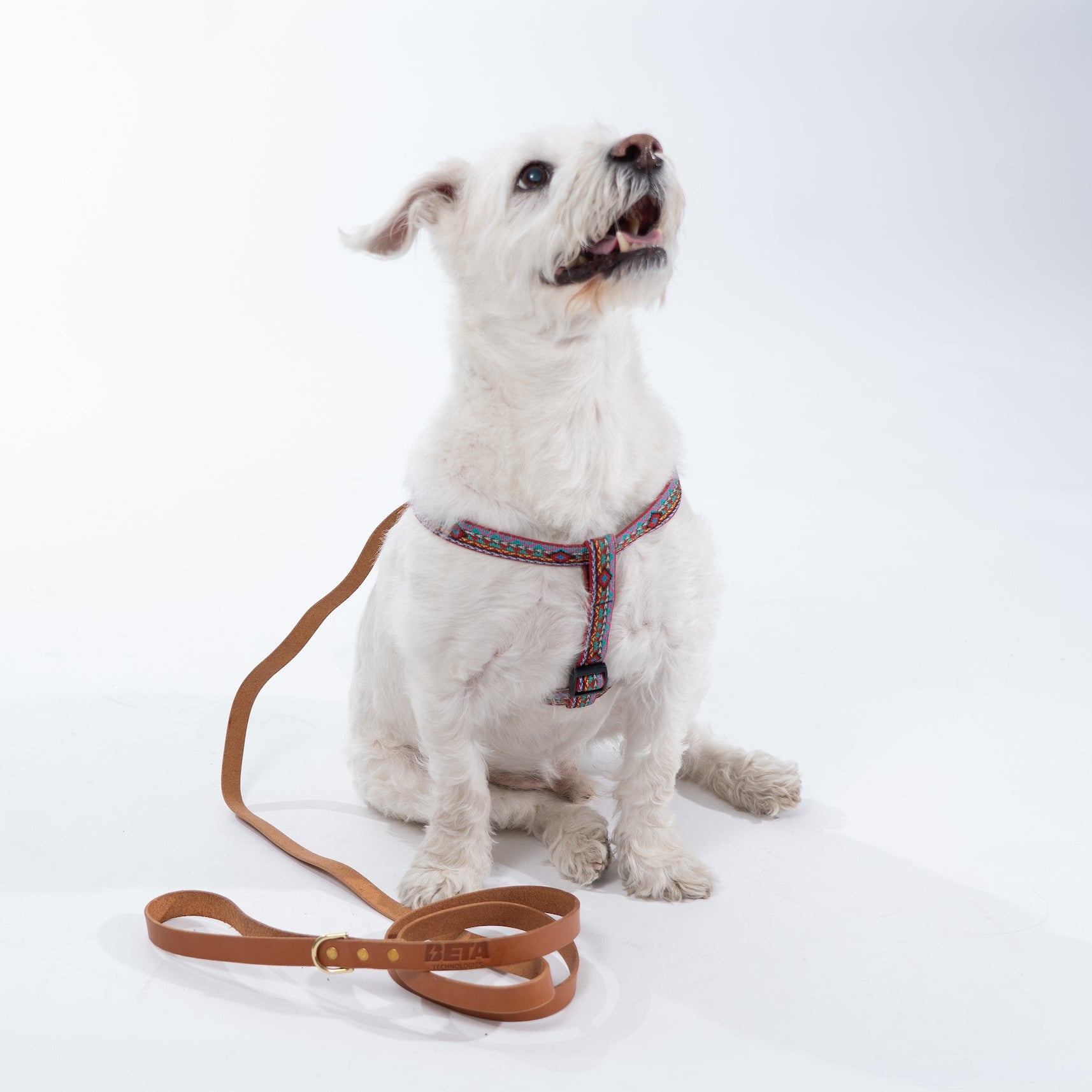 Leather Dog Leash