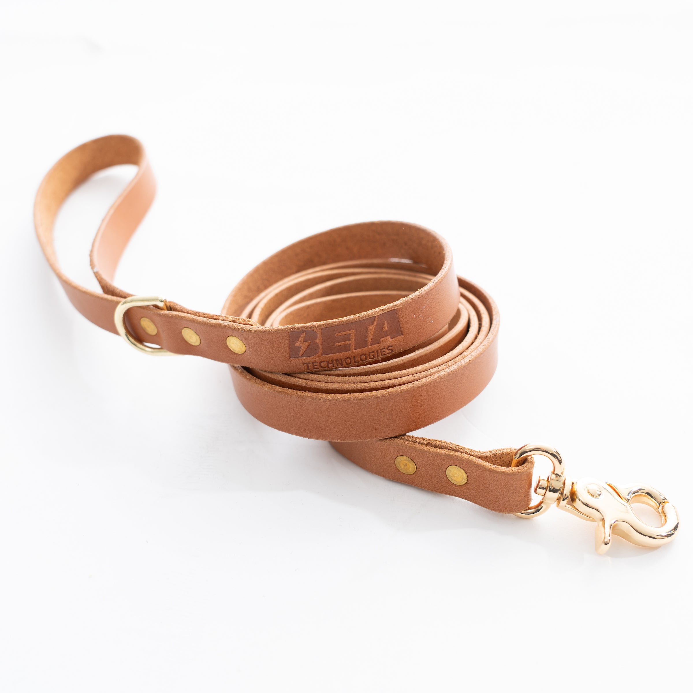 Leather Dog Leash