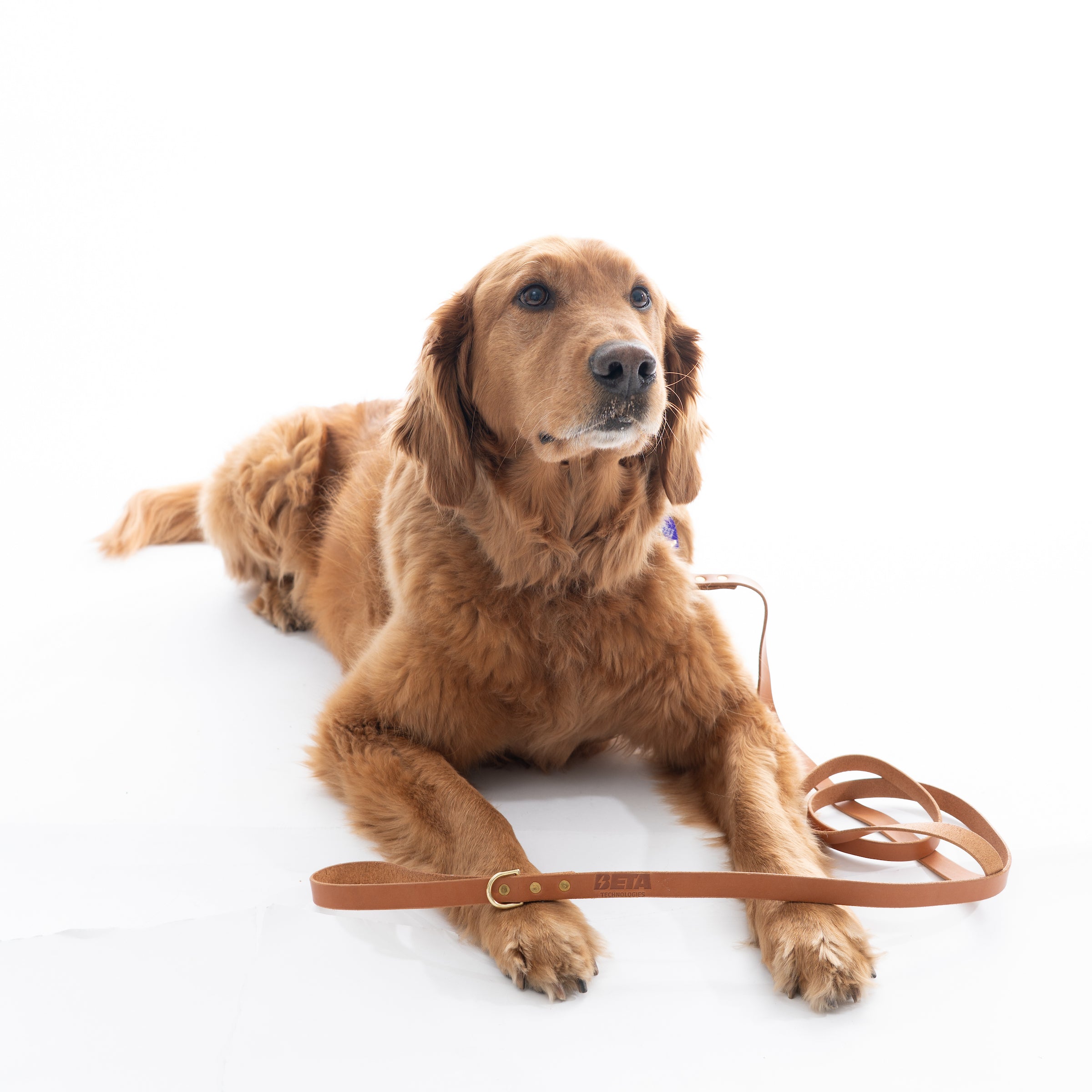 Leather Dog Leash