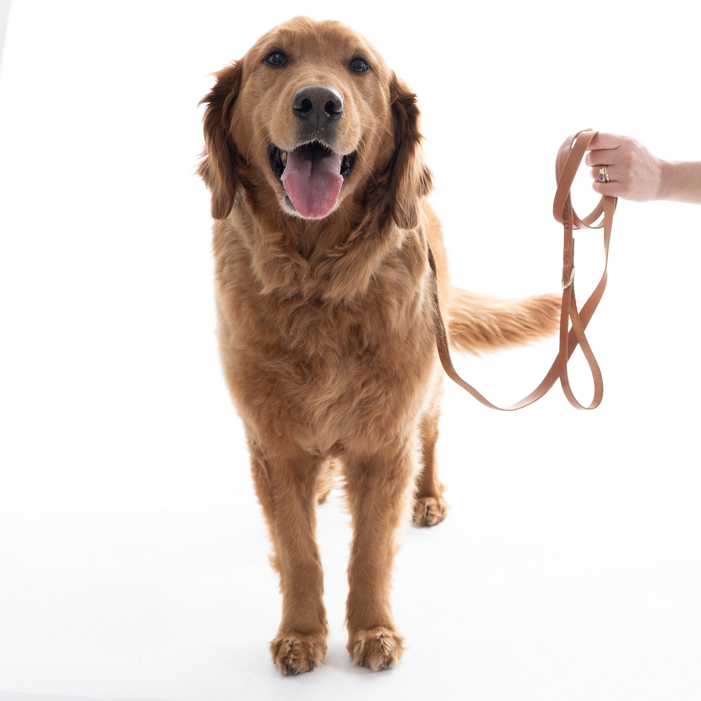Leather Dog Leash