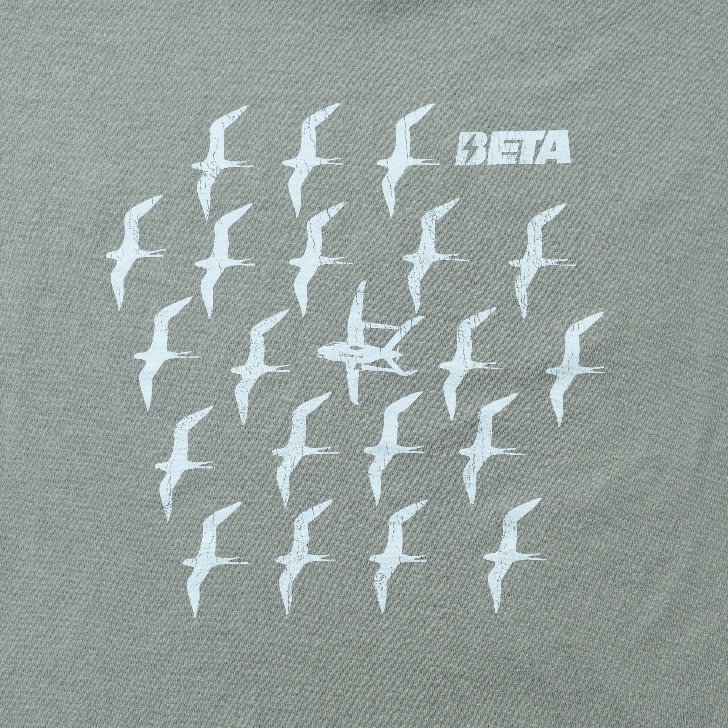 BETAKids Arctic Tern + Alia T-Shirt